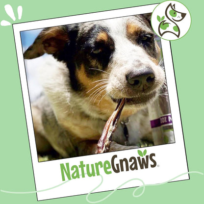Nature Gnaws five to six inch extra thin chews for light chewers