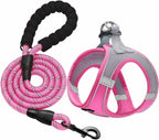 haapaw Dog Harness with Leash Set, No Pull Adjustable Reflective Step-in Puppy Harness with Thickened Padded Vest for Extra-Small/Small Medium Dogs - Image 10