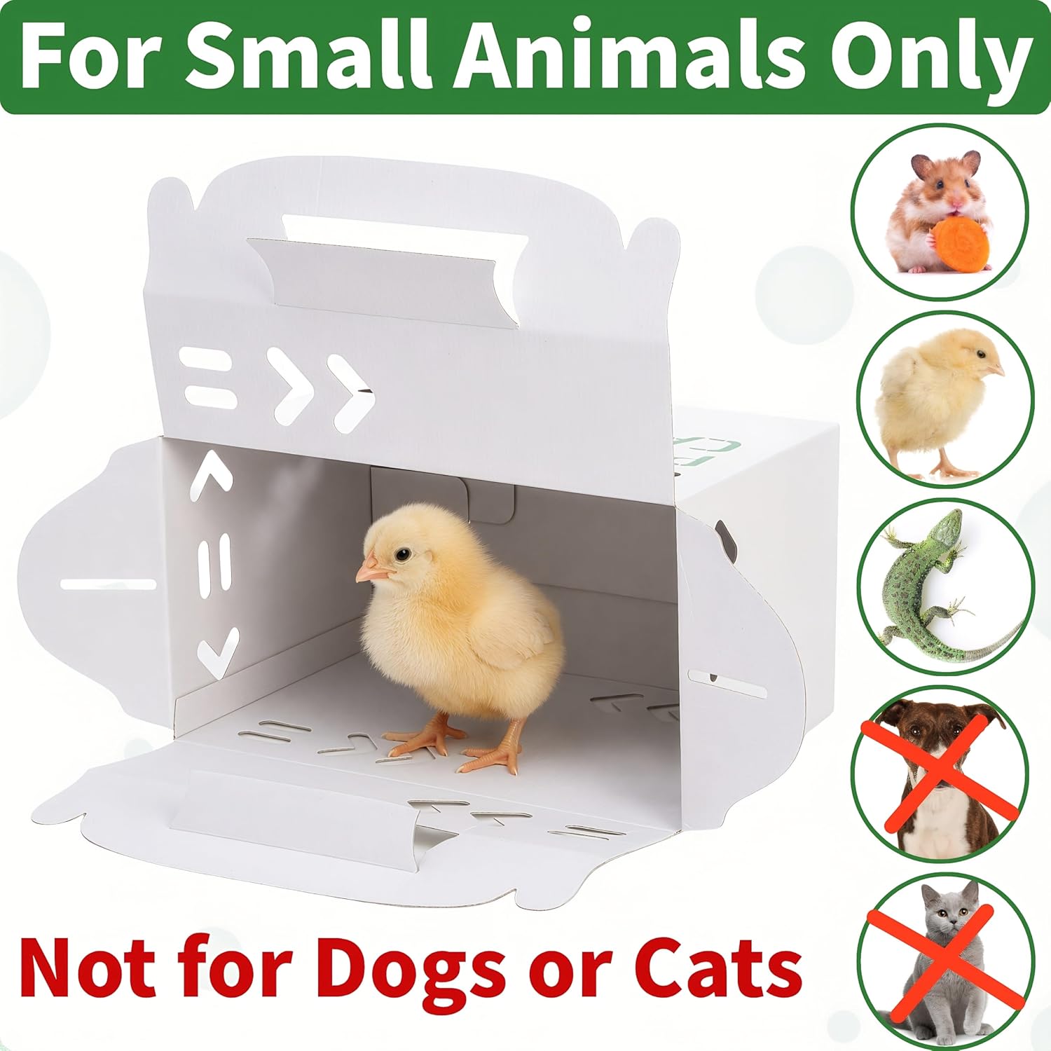 Coloch 20 Pack Cardboard Pet Carrier for Small Pets, 11x8x6 Inches Disposable Pet Transport Box for Small Pets, Chicks, Pullets, Fowls, Hamsters, Gerbils, Not for Adult Cats or Dogs - Image 4