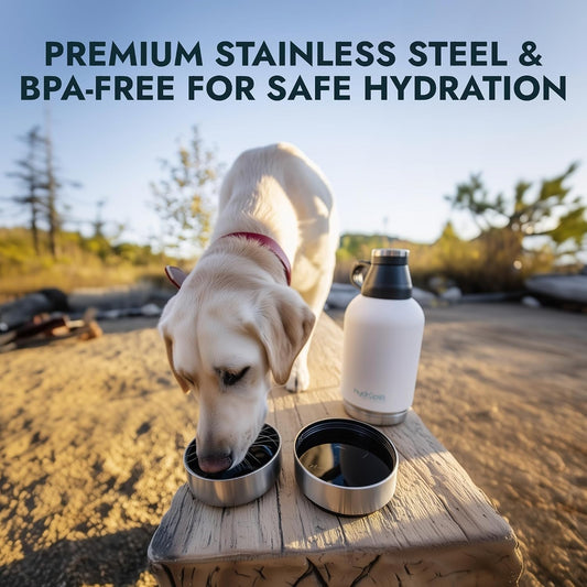 Pet Vet Products HydroPet travel flask with two detached bowls for dog food and water on a walking trail.
