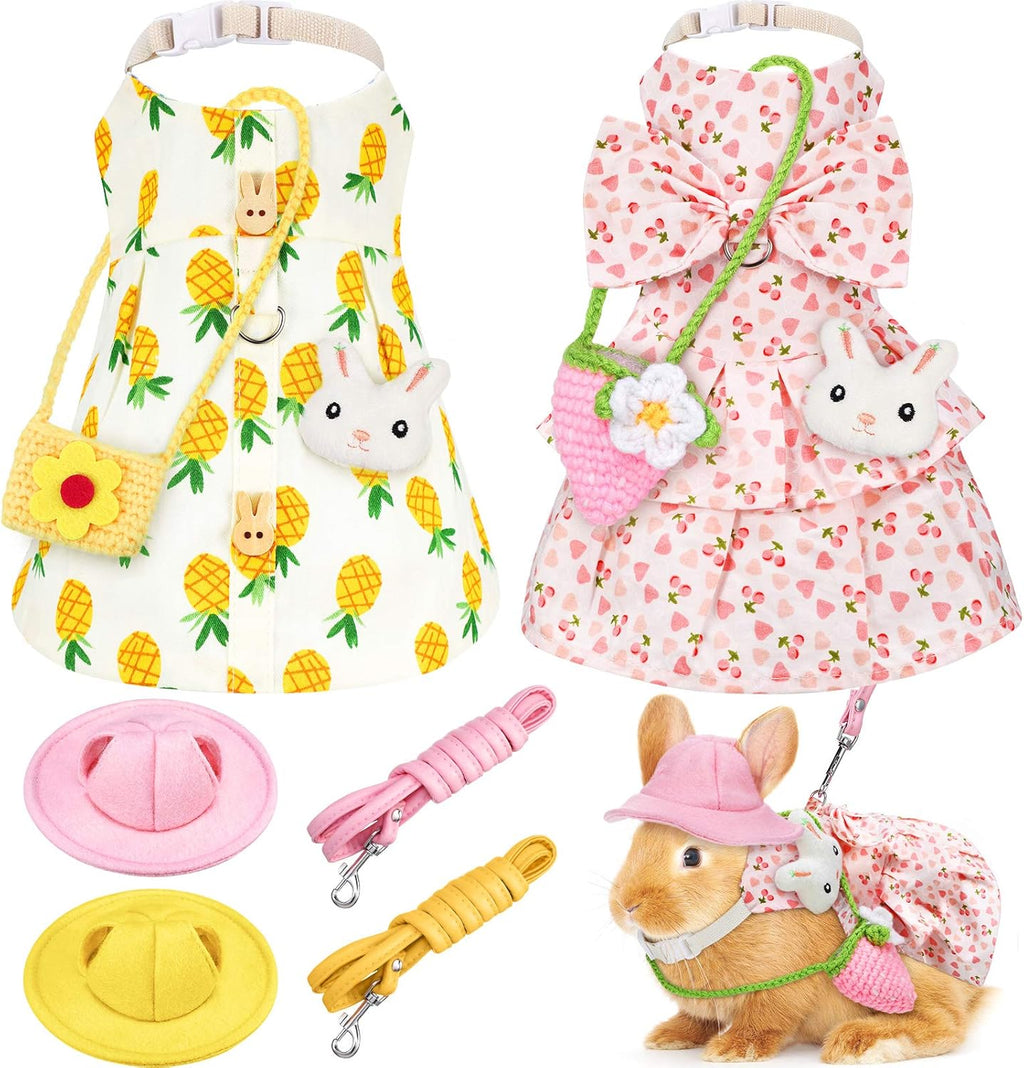 Weewooday pet rabbit clothes set front view featuring pineapple dress and accessories