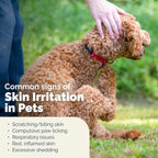 Vetnique Labs advanced vet strength medicated skin spray bottle back view
