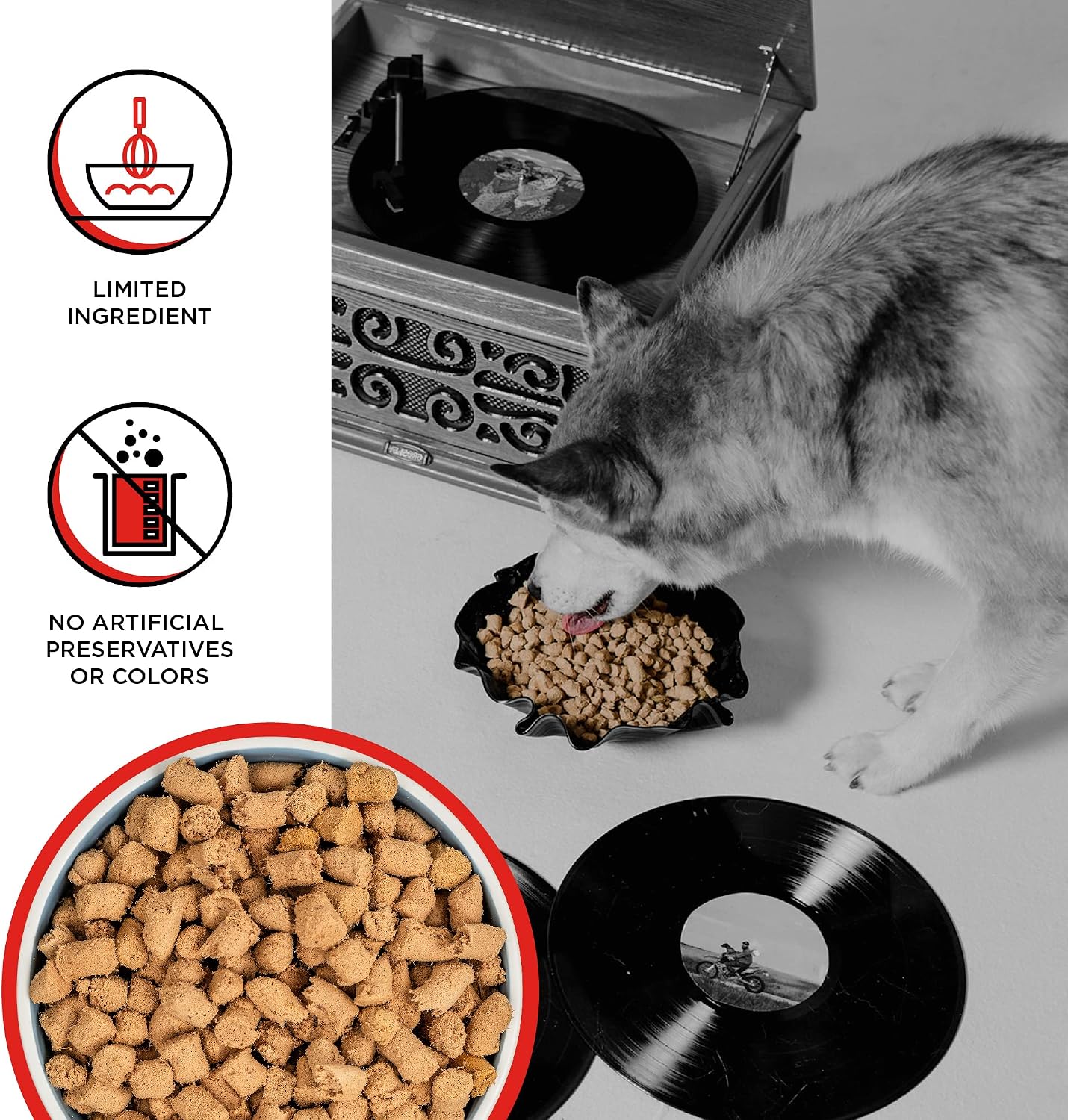 BIXBI freeze dried beef dog treats texture and ingredient details
