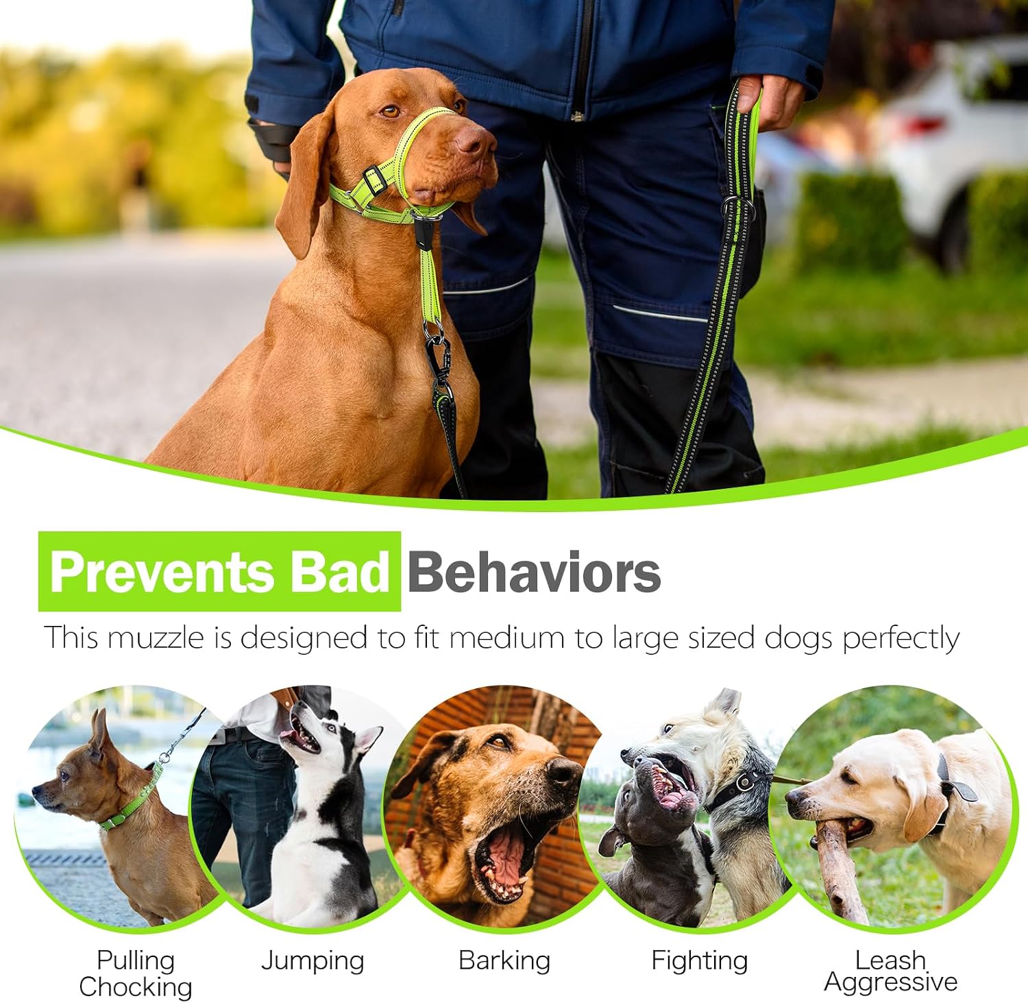 Green medium dog head collar with minimal strap cooling design