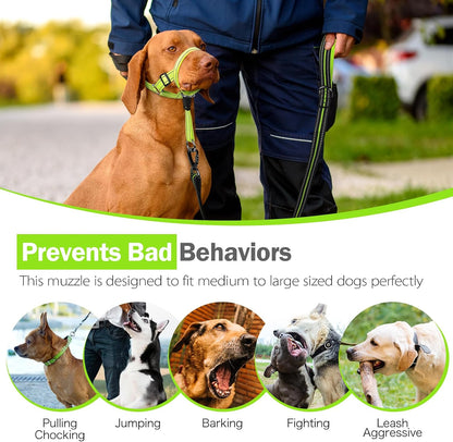 Green medium dog head collar with minimal strap cooling design