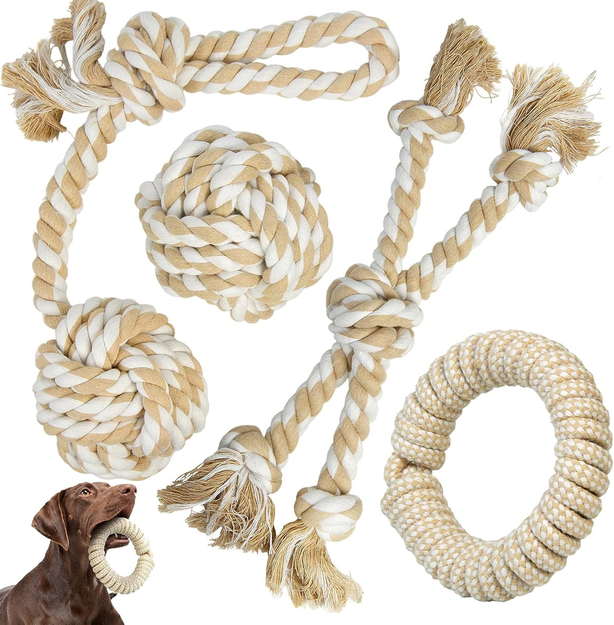 TwoEar Dog Rope Toy 4 Pack - Puppy Teething Toys for Small Breed - Indestructible Dog Chew Toys for Aggressive Chewers - Cotton Tug of War Dog Toys for Boredom, Teeth Clean - Image 9