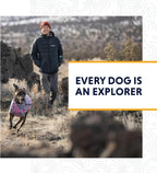 Ruffwear Grip Trex pair of boots for all-terrain use