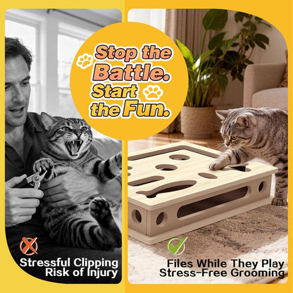 Interactive cat nail file box with top holes revealing inner maze paths