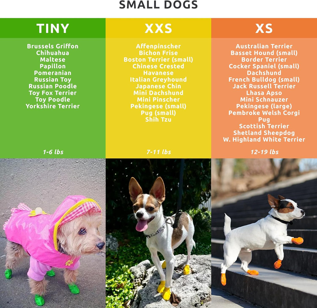 Rudra Retails authentic Pawz dog boots packaging