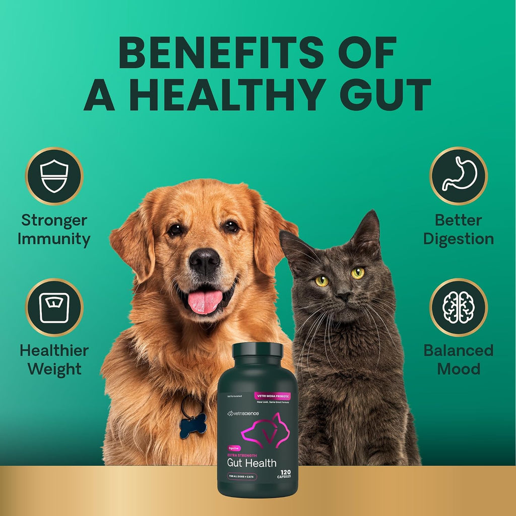 VetriScience probiotic and prebiotic capsules for pets