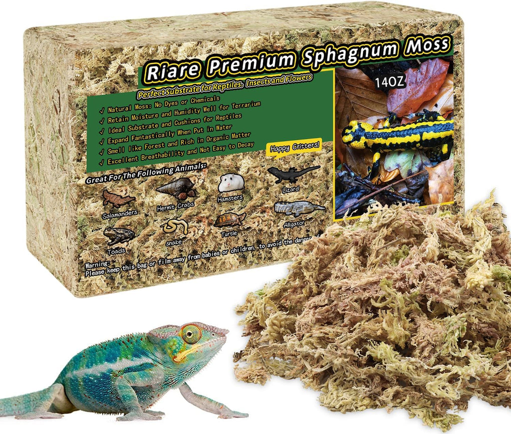 Riare 5.3OZ Premium Sphagnum Moss for Reptiles- 6QT Natural Reptile Moss Dried, Forest Live Moss for Terrarium, Frogs Snake Peat Moss Bedding for Leopard Gecko Turtle Anoles Salamanders Orchids - Image 9