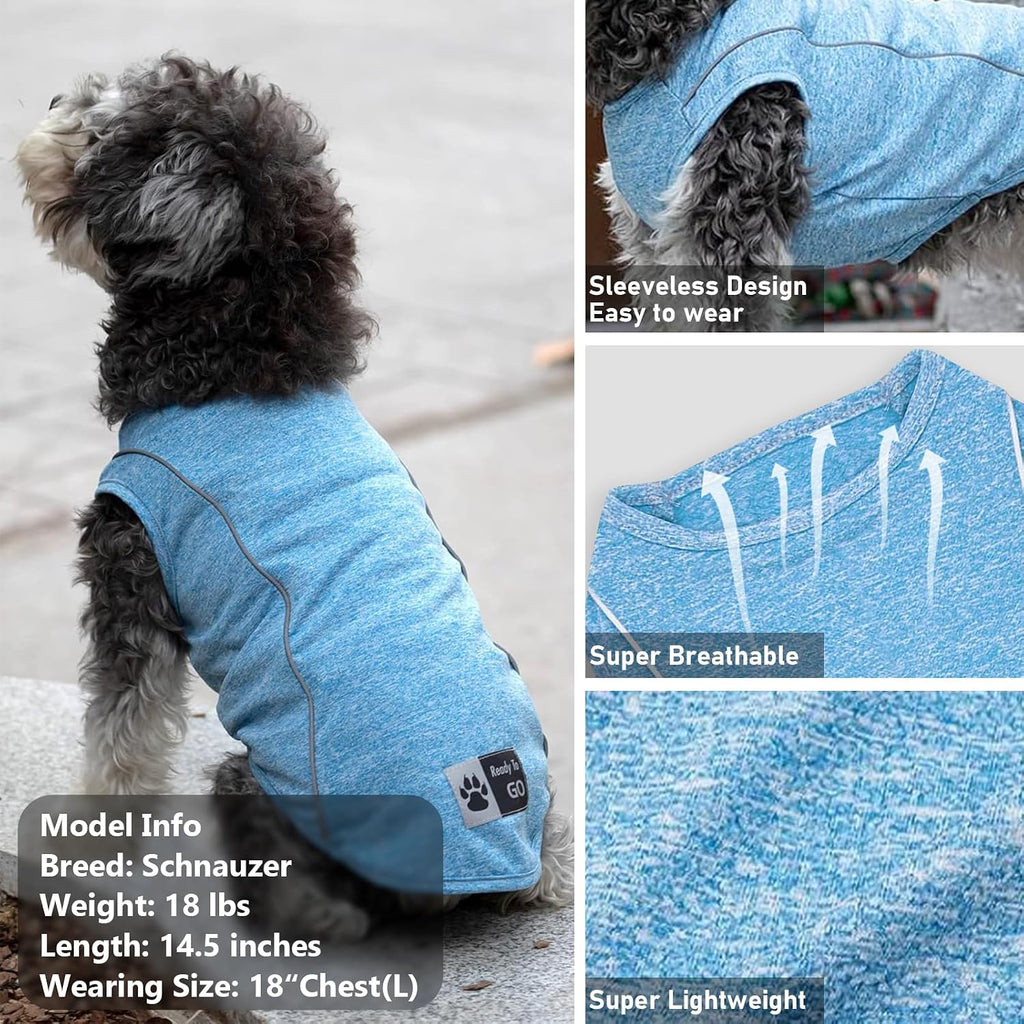 Small dog wearing Kyeese athletic reflective vest