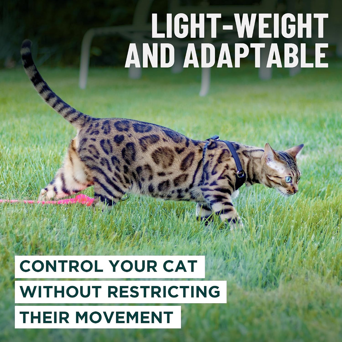 Authentic USA imported OutdoorBengal cat walking kit packaging view
