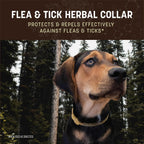 Earth Animal herbal collar packaging showing active ingredients