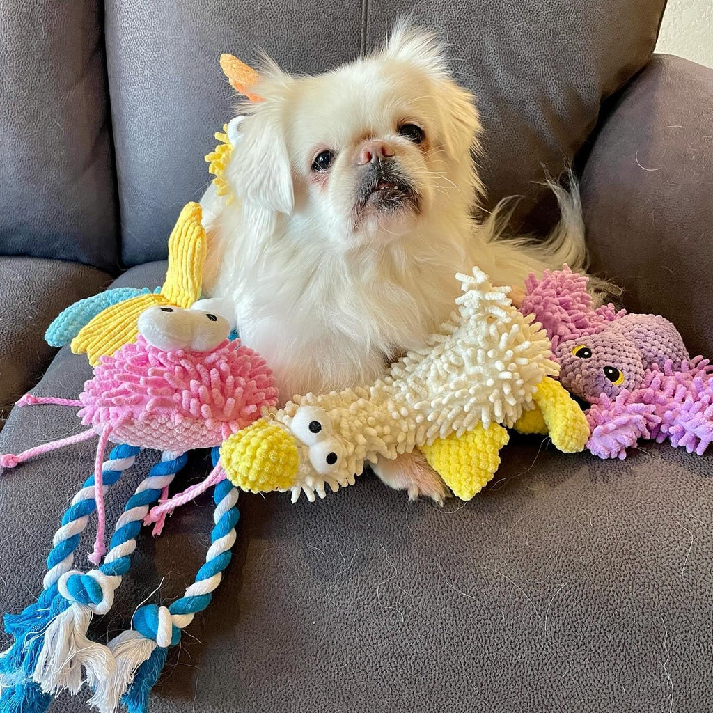 Nocciola premium chenille fabric squeaky dog toys designed for dental sanitation and chewing.