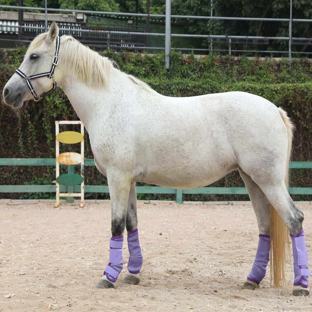 Gallopoff protective horse leggings fitted on a horse in a pasture setting