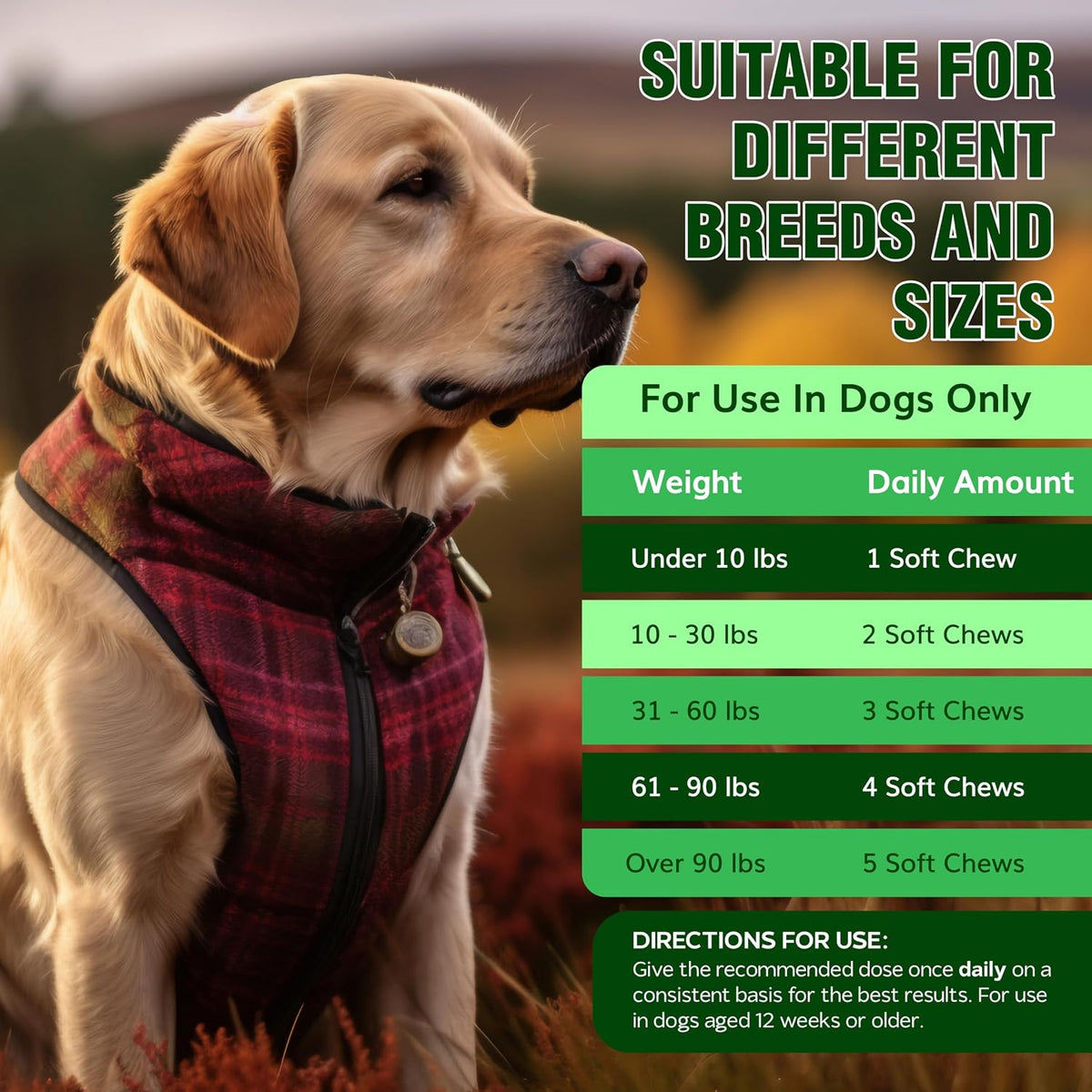 Vet Treat holistic flea and tick defense pills for pet care display