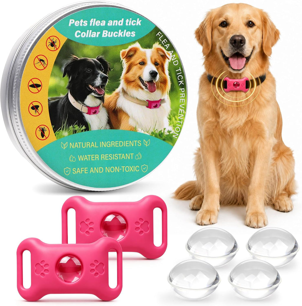 Cijoaui dog collar pendant pack front view showing two pink tracking accessories on collars