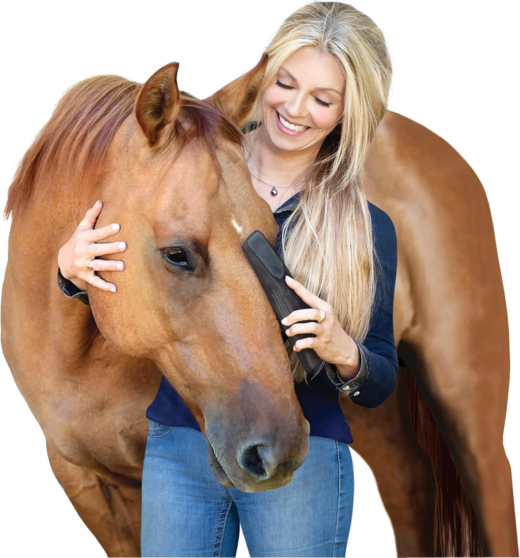 StripHair 6-in-1 grooming tool removing loose pet hair