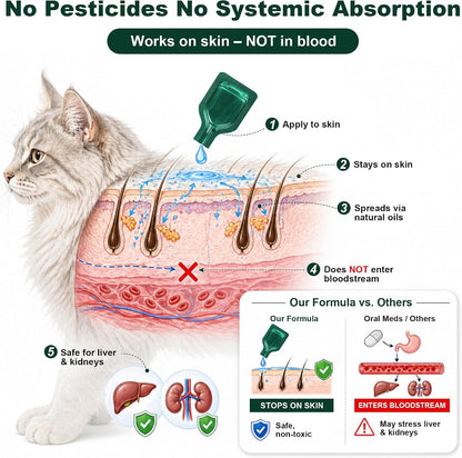 Back packaging label of PetArmor flea prevention for cats