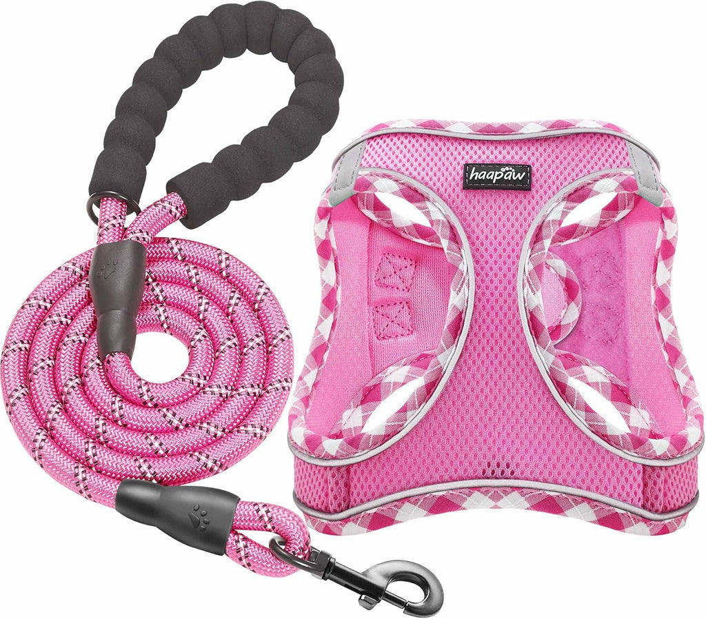 haapaw Dog Harness with Leash Set, No Pull Adjustable Reflective Step-in Puppy Harness with Thickened Padded Vest for Extra-Small/Small Medium Dogs - Image 11