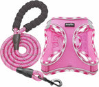 haapaw Dog Harness with Leash Set, No Pull Adjustable Reflective Step-in Puppy Harness with Thickened Padded Vest for Extra-Small/Small Medium Dogs - Image 11