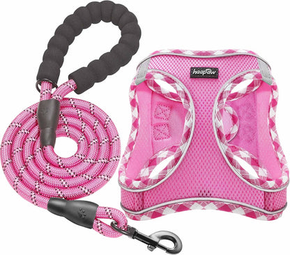 haapaw Dog Harness with Leash Set, No Pull Adjustable Reflective Step-in Puppy Harness with Thickened Padded Vest for Extra-Small/Small Medium Dogs - Image 11