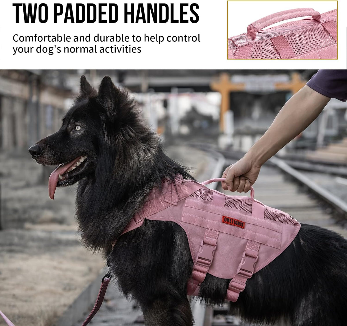 UTX Duraflex quick release buckles on OneTigris tactical dog gear