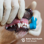 Boshel pet toothbrush kit for small and large breeds