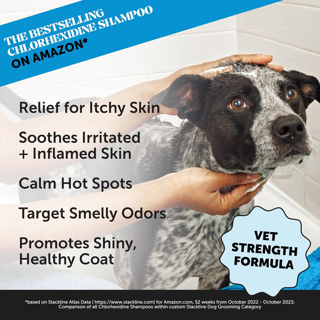 Pet Honesty medicated shampoo bottle showing 2% chlorhexidine and 1% ketoconazole label