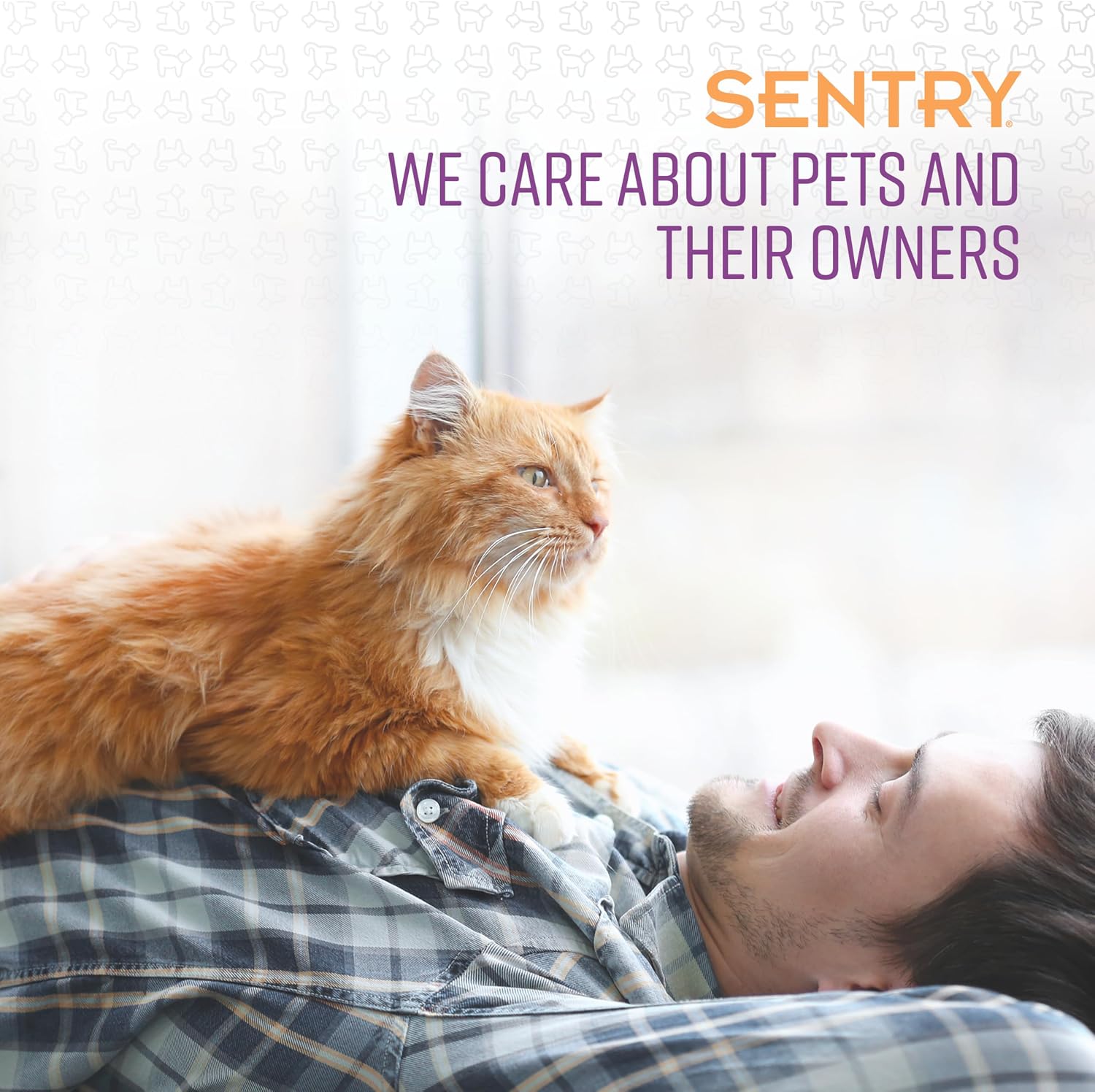 Authentic Sentry pet care feline training spray imported from USA for Indian pet owners