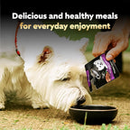 Cesar gourmet filets in gravy dog food multipack collection