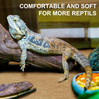 Haull reptile carpet liner cut to size inside a lizard enclosure setup