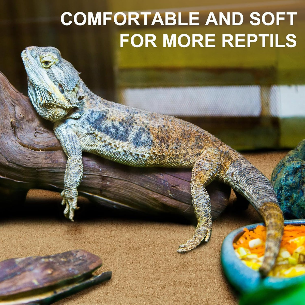 Haull reptile carpet liner cut to size inside a lizard enclosure setup