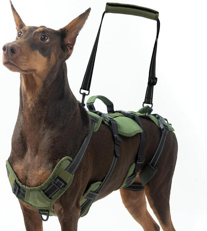 BINGPET Dog Lift Harness for Large Dogs,Full Body Support Rehabilitation Dog Sling Carrier with Handles,Reflective Multifunctional Mobility Assistance Vest for Senior Pets Joint Injuries,Arthritis,L - Image 10
