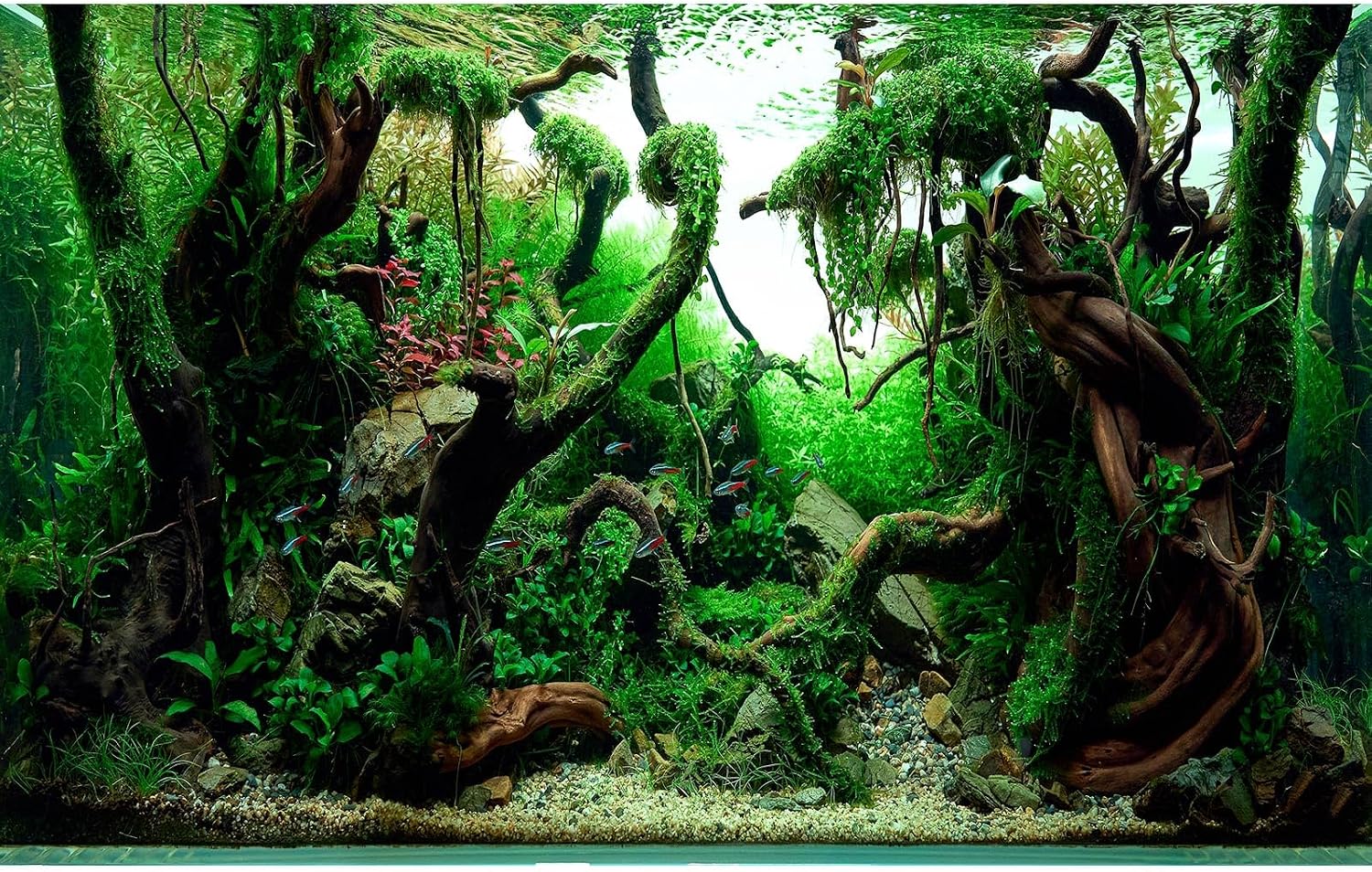 Underwater Aquarium Background Underwater Aquatic Plants with Sunbeams Fish Tank Background Rock with Lush Moss Terrarium Background Aquarium Backdrop For Tank Decorations Poster Vinyl 24x12in - Image 13
