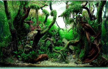 Underwater Aquarium Background Underwater Aquatic Plants with Sunbeams Fish Tank Background Rock with Lush Moss Terrarium Background Aquarium Backdrop For Tank Decorations Poster Vinyl 24x12in - Image 13