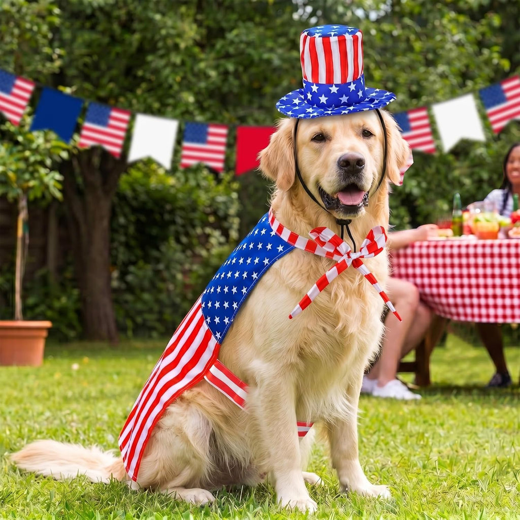 Vehomy large dog costume independent day theme outfit flat lay view.