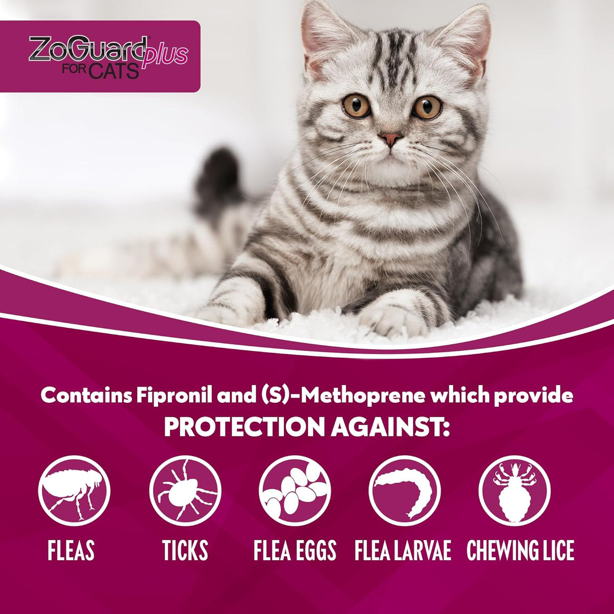 ZoGuard Plus active ingredients and flea life cycle chart