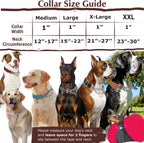 Heavy duty reflective nylon strap on a premium pet training collar.