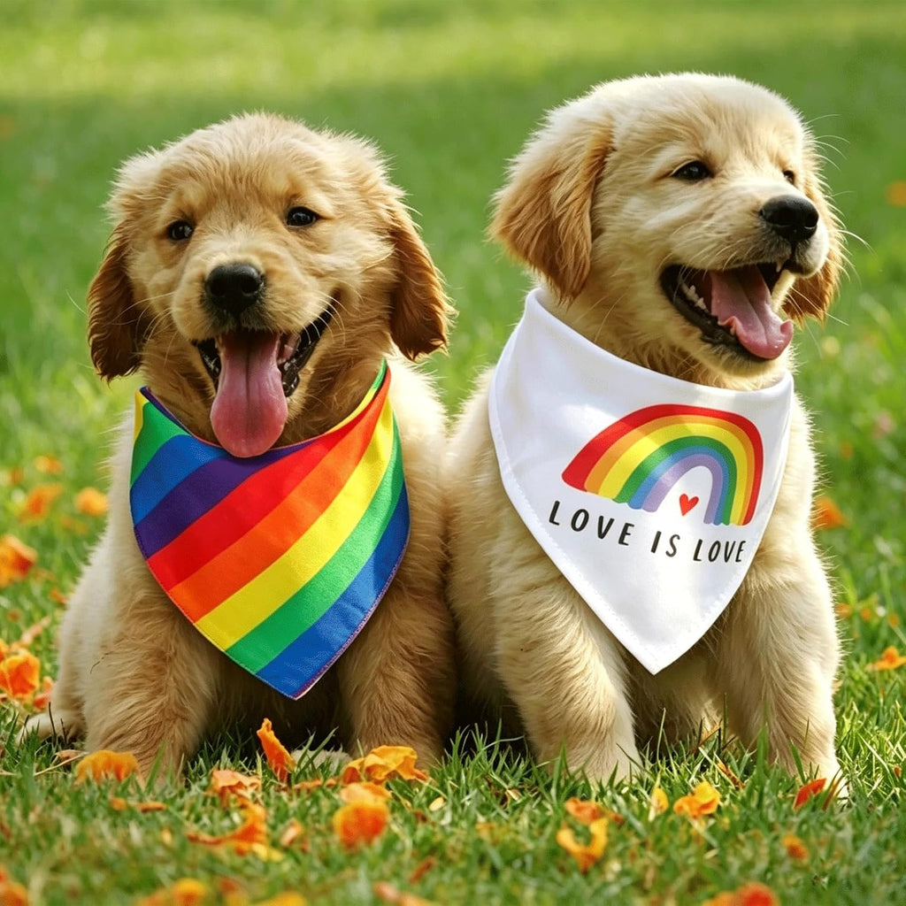 Multipurpose cotton rainbow bandana styled as a human headband