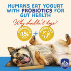 USA imported lactose free yogurt dog treats displayed on a clean surface.