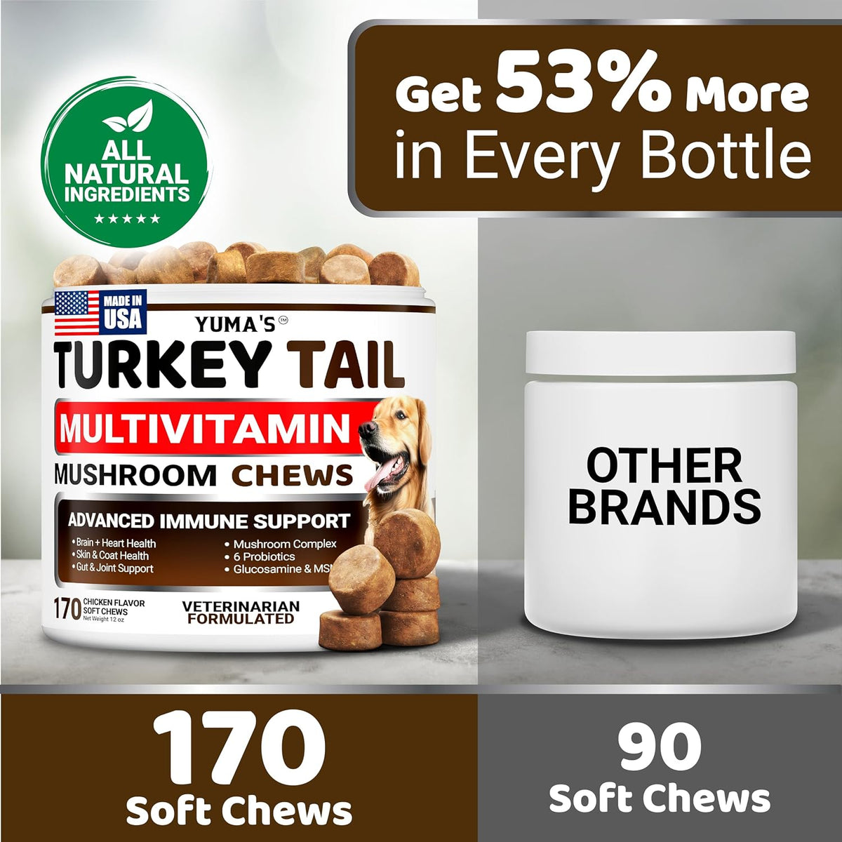 YUMA'S pet wellness supplement for canine digestion and joint mobility