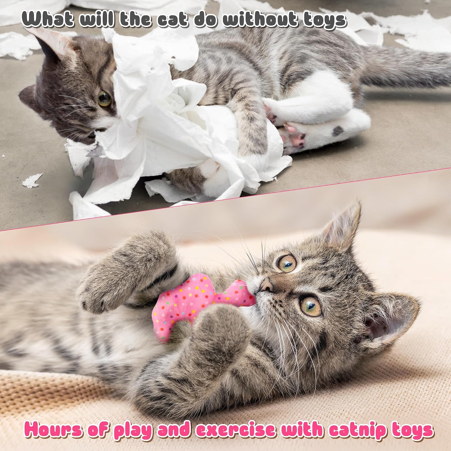 Top down view of all 6 Mallmall6 animal cookie cat toys