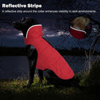 Petglad winter coat with reflective stripes illuminated