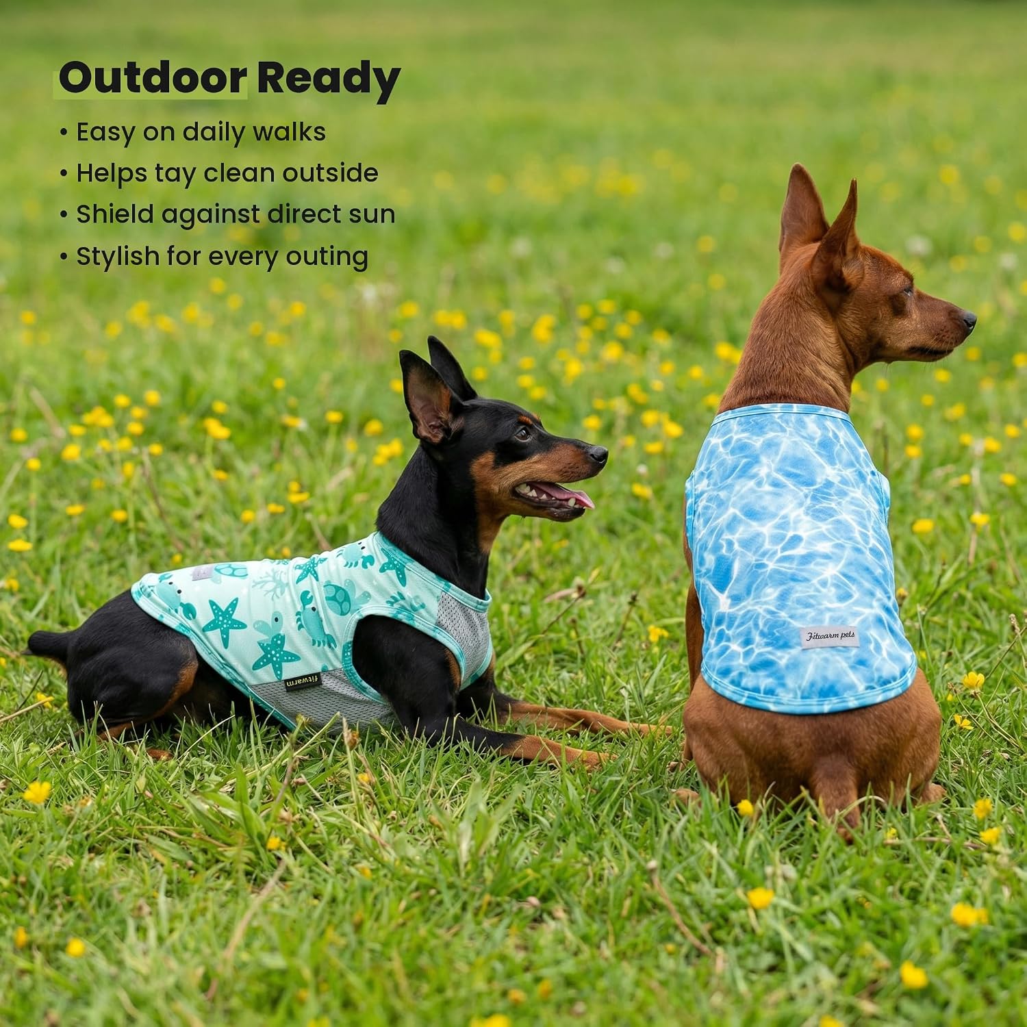 Dog enjoying summer outdoor activity in protective sun shirt