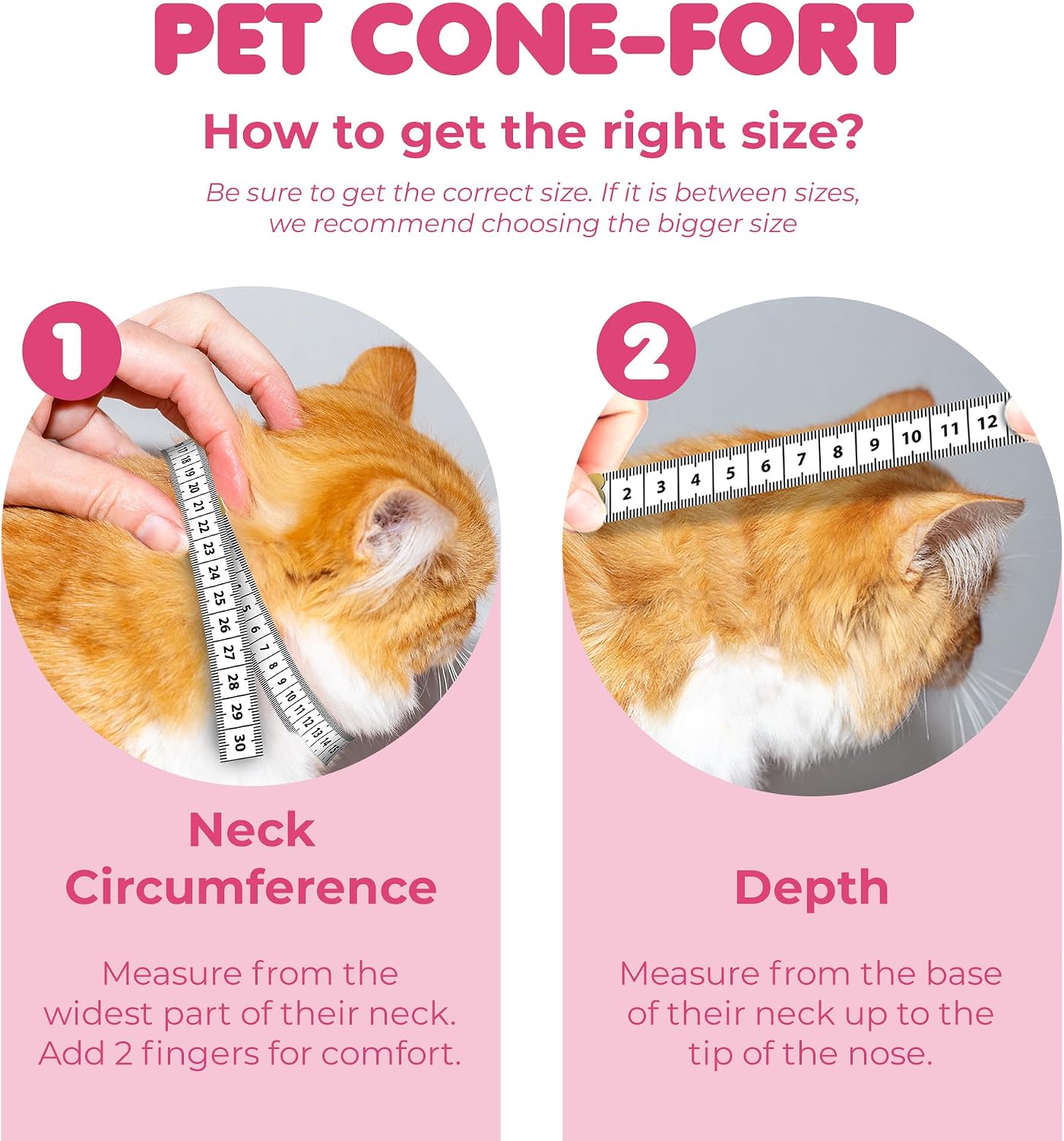 SunGrow padded foam cat collar with adjustable hook and loop straps