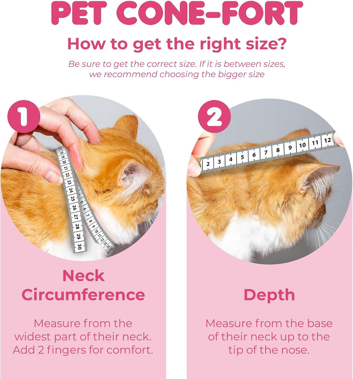 SunGrow padded foam cat collar with adjustable hook and loop straps