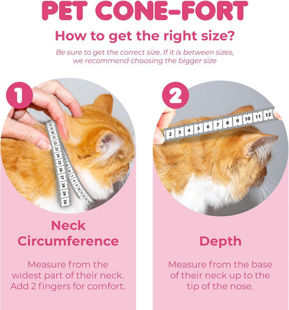SunGrow padded foam cat collar with adjustable hook and loop straps