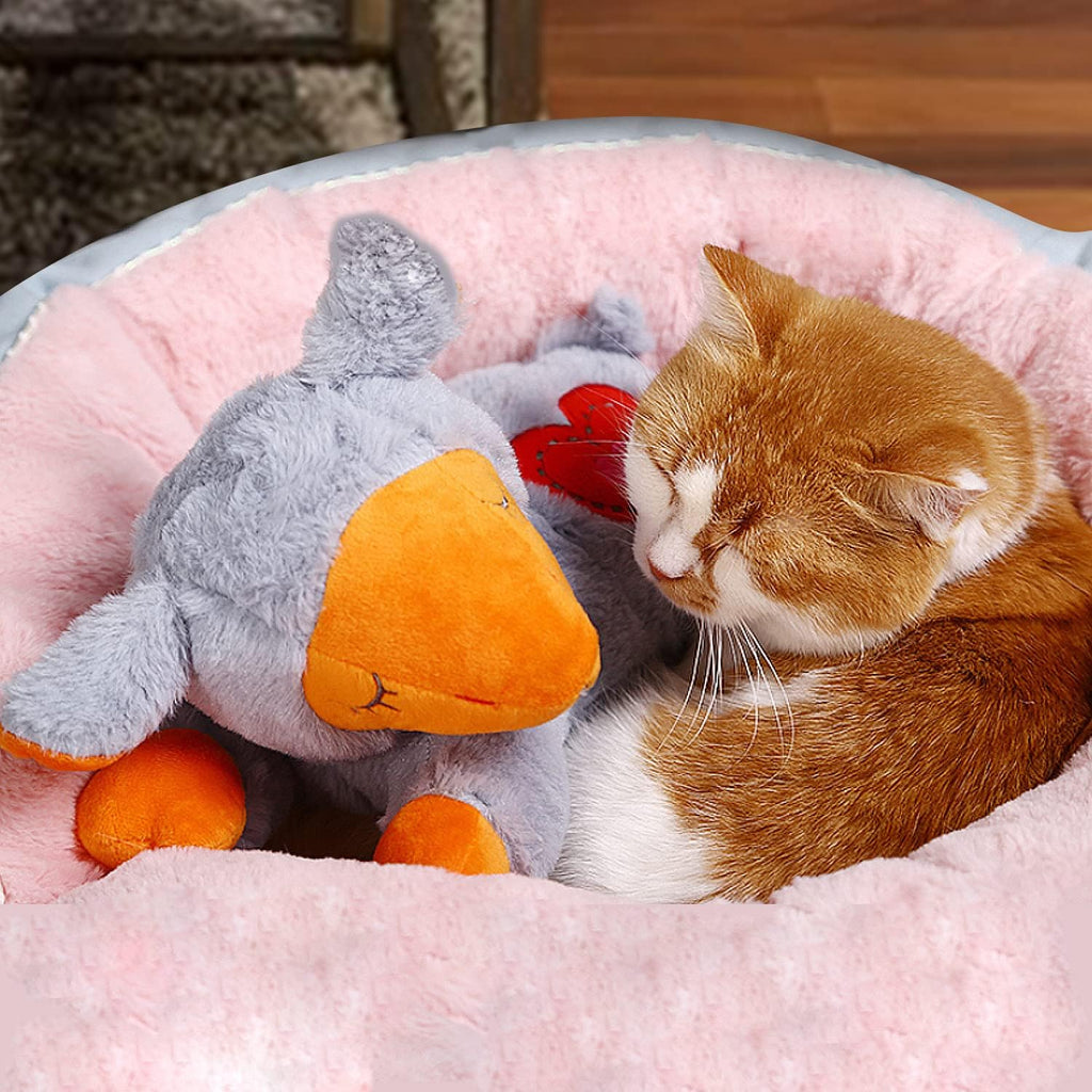 All For Paws heartbeat device removed from plush toy